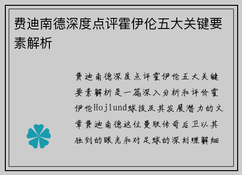 费迪南德深度点评霍伊伦五大关键要素解析